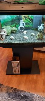 Mooie Juwel 60 liter Aquarium 60x30x110 cm, met Ornamenten, Dieren en Toebehoren, Vissen | Aquaria en Toebehoren, Ophalen, Zo goed als nieuw