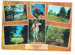 47 / VENRAY : Groeten uit ( natuur), Verzamelen, Ansichtkaarten | Nederland, Verzenden, 1960 tot 1980, Gelopen, Limburg