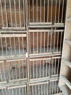 Broedbakken en Houten vloerroosters, Dieren en Toebehoren, Meerdere dieren