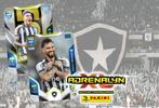 Panini Adrenalyn XL FIFA 365 - BOTAFOGO, Hobby en Vrije tijd, Stickers en Plaatjes, Ophalen of Verzenden, Nieuw, Plaatje