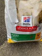 Hill's puppybrokken, Dieren en Toebehoren, Ophalen, Hond