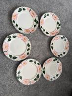 Villeroy & Boch Wild Rose Borden - 6 stuks 27 cm