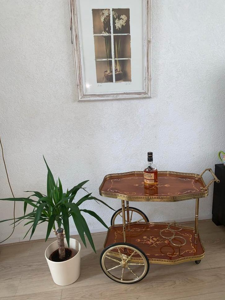 Vintage Serveerwagen / Theewagen, Huis en Inrichting, Tafelonderdelen, Zo goed als nieuw, Tafelblad, 50 tot 100 cm, Ovaal, Metaal