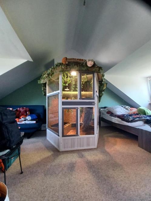 Terraruim Compleet Groot, Dieren en Toebehoren, Reptielen en Amfibieën | Toebehoren, Zo goed als nieuw, Terrarium of Paludarium