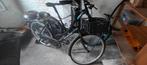Pelikaan fiets te koop, Ophalen, Gebruikt, Staal, Cruiser