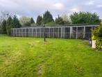 Voliere groot, Dieren en Toebehoren, Vogels | Hokken en Kooien, Ophalen of Verzenden
