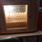 Volautomatische broedmachine, Ophalen, Nieuw, Broedmachine