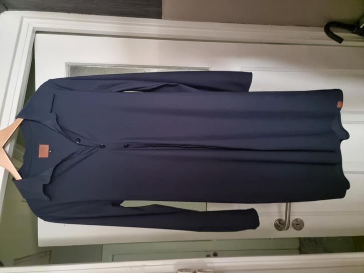 Doorknoop jurk mooi vrolijk maat l, Kleding | Dames, Blouses en Tunieken, Zo goed als nieuw, Maat 38/40 (M), Blauw, Ophalen of Verzenden