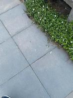 12.5 m2  beton tegels 60x60 grijs, Tuin en Terras, Tegels en Klinkers, Verzenden, Zo goed als nieuw, 10 m² of meer, Beton
