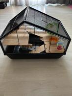 Hamster kooi, Minder dan 60 cm, Kooi, Minder dan 75 cm, Ophalen of Verzenden