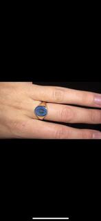 Zegelring met wapen 14kt goud, Sieraden, Tassen en Uiterlijk, Ringen, Gebruikt, Ophalen of Verzenden, Kleiner dan 17, Dame of Heer