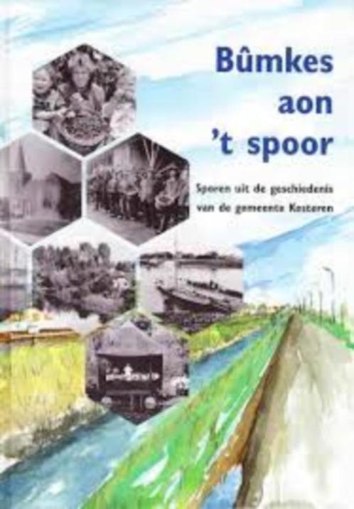 BUMKES AON 'T SPOOR geschiedenis Kesteren, Boeken, Geschiedenis | Stad en Regio, Zo goed als nieuw, 20e eeuw of later, Ophalen of Verzenden