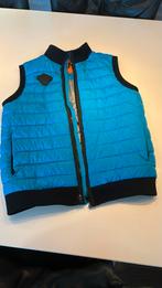 Blauwe kinder bodywarmer Black Bananas, Ophalen of Verzenden, Zo goed als nieuw, Jongen