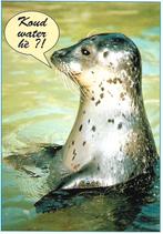 Zeehond., Verzenden, 1980 tot heden, Ongelopen, Wild dier