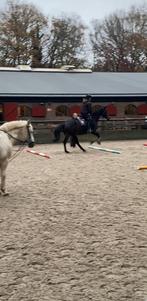 BIJRIJDEN AANGEBODEN/PAARD/PONY GEZOCHT, Dieren en Toebehoren, Ophalen of Verzenden, Nieuw