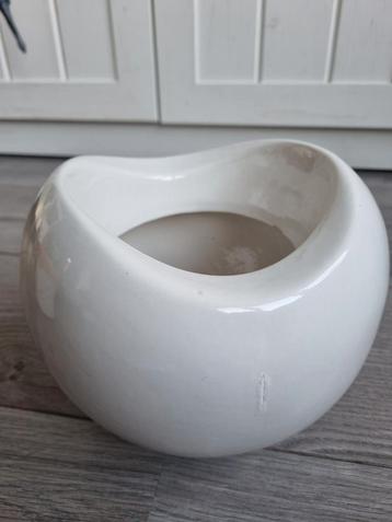 Witte design bloempot beschikbaar voor biedingen