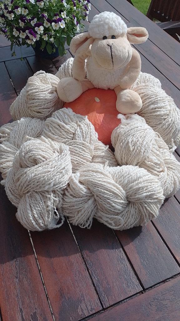 Texel / Swifter schapenwol crème handgesponnen 545g, Hobby en Vrije tijd, Breien en Haken, Nieuw, Breien of Haken, Wol of Garen