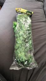 Zoomed Naturalistic flora Amazonian phyllo terrariumplant., Ophalen of Verzenden, Nieuw, Tak, Plant, Rots of Steen