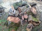 Partij haardhout, brandhout, Tuin en Terras, Haardhout, Minder dan 3 m³, Ophalen, Beukenhout, Stammen