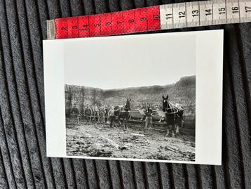 816. Kaart afgraving van de Wierde de Wierhuizen archeologie beschikbaar voor biedingen