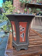 Grote Bonsaipot cascade ., Gebruikt, Overige vormen, Aardewerk, Tuin