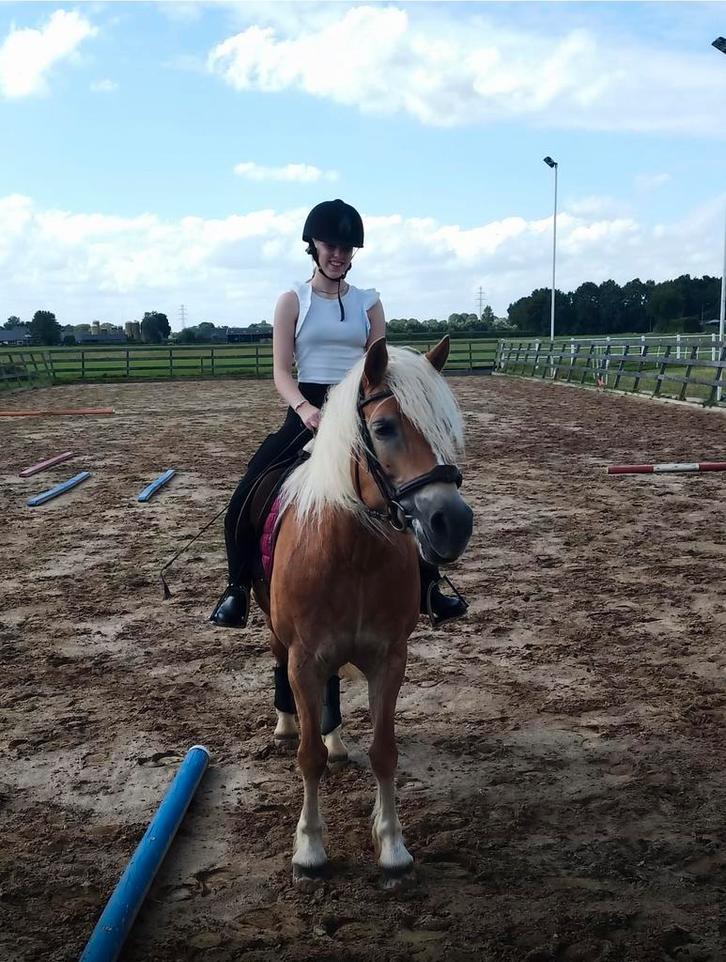 Verzorg pony/paard  gezocht!, Dieren en Toebehoren, Paarden en Pony's | Verzorgingsproducten, Ophalen of Verzenden