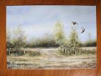 Ansichtkaart Pheasants Rob Hessels 7785, Ophalen of Verzenden