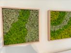 2 handgemaakte mosschilderijen 50x50, Ophalen of Verzenden