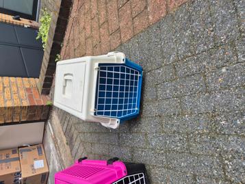 Kattenreismand roze en blauw ook appart te koop beschikbaar voor biedingen