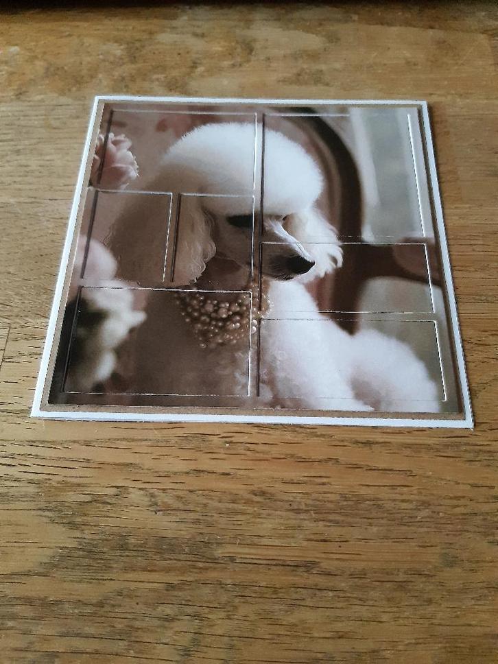 Diepte-Poedel(905), Hobby en Vrije tijd, Kaarten | Zelfgemaakt, Nieuw, Overige thema's, Ophalen of Verzenden