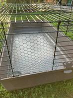 Caviakooi gratis, Dieren en Toebehoren, Kooi, Hamster, Ophalen, Minder dan 60 cm