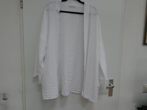 Wit wijdvallend vest Imicoco, wijde mouw, one size (tot maat, Kleding | Dames, Grote Maten, Zo goed als nieuw, Trui of Vest, Wit
