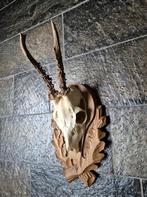 Mooi Ree Gewei op hand gestoken trofee plank jacht e55, Verzamelen, Ophalen of Verzenden, Zo goed als nieuw, Hert, Gewei of Kop