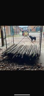 Weide palen. Ongeveer 150/160 stuks, Dieren en Toebehoren, Ophalen, Vee