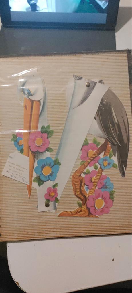Vintage Handgemaakte Geboortekaart reiger, Antiek en Kunst, Curiosa en Brocante, Ophalen of Verzenden