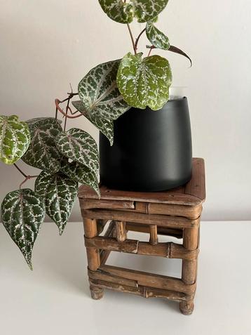 Vintage Zeer Oud Rotan Bamboe Bijzet- Plantentafeltje beschikbaar voor biedingen