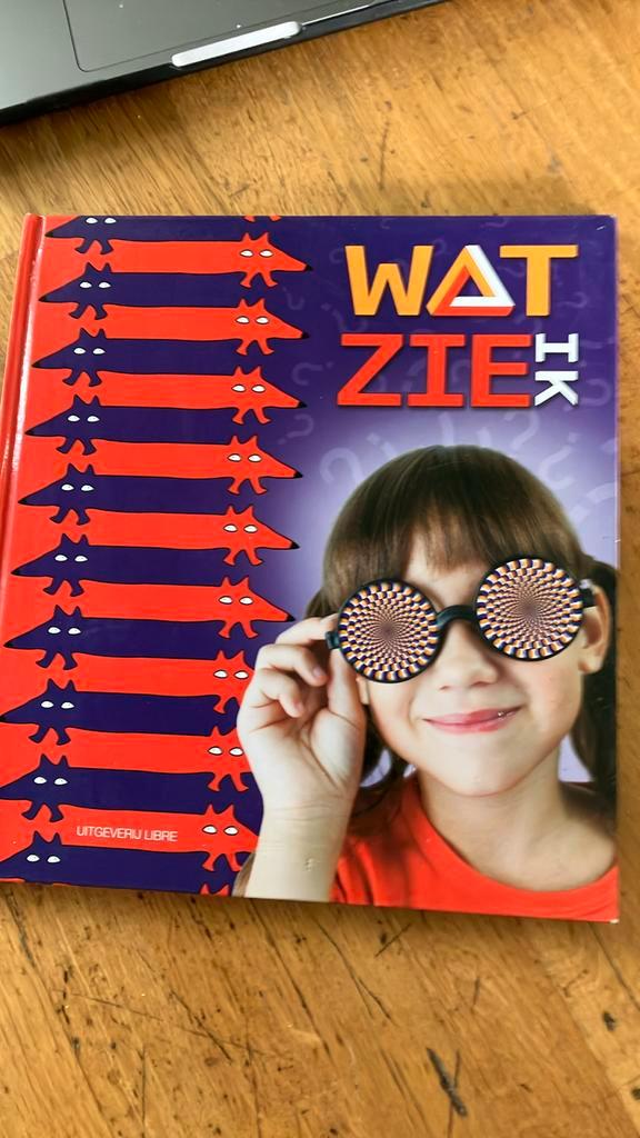 Frank van Dulmen - Wat zie ik?, Boeken, Kinderboeken | Jeugd | onder 10 jaar, Gelezen, Ophalen of Verzenden