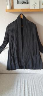 Heerlijk warm vest , antraciet, wol, maat M, IZGS, Kleding | Dames, Truien en Vesten, Ophalen of Verzenden, Zo goed als nieuw