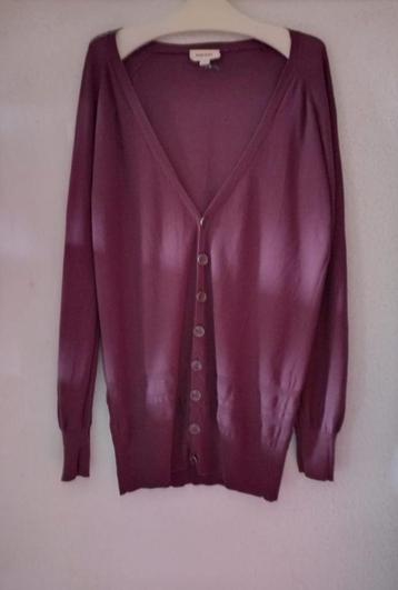 Diesel gebreid vest cardigan bordeaux L beschikbaar voor biedingen