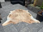 Groot Koeienhuid Kleed 200x210 cm, Wit, Ophalen of Verzenden, Zo goed als nieuw, 200 cm of meer