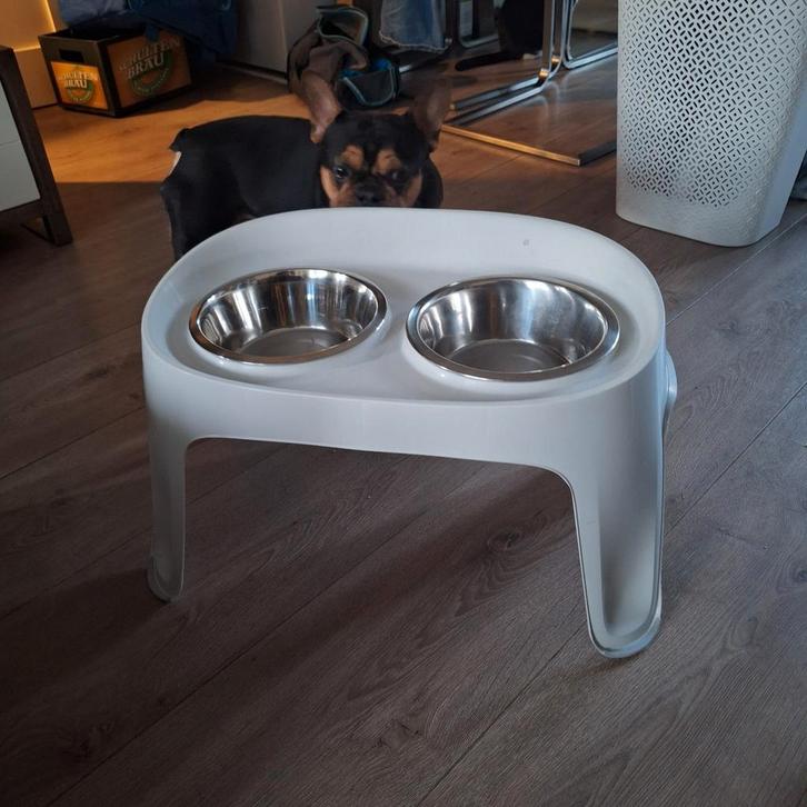 Kunststof voertafel voerbak, Dieren en Toebehoren, Hondenvoerbakken en Drinkbakken, Ophalen