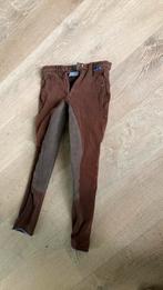 Paardrijbroek 36/38?, Ophalen of Verzenden, Gebruikt, Dressuur, Onderkleding