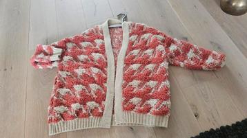 Heerlijk warm vest beschikbaar voor biedingen