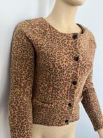 Maison scotch jasje petite Leopard bruin rood colbert warm, Ophalen of Verzenden