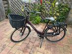 Prachtige Cortina Common Family moederfiets, Mandje, Zo goed als nieuw, 1 zitje, Ophalen