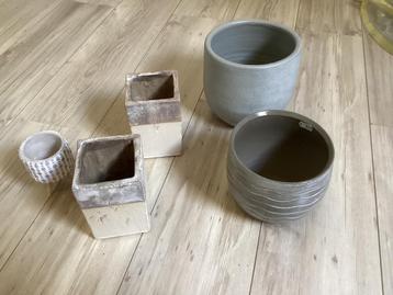 Bloempotjes beschikbaar voor biedingen