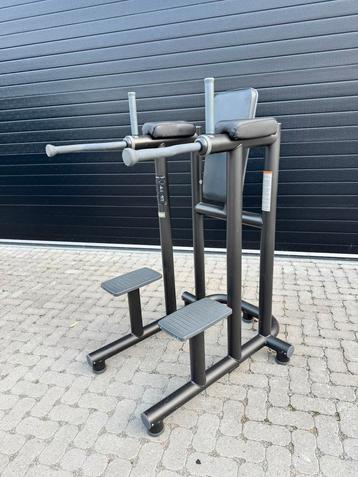 Technogym Leg Raise / Dip in perfecte staat!! beschikbaar voor biedingen