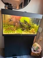 Juwel Rio 125 LED Aquarium met meubel – nieuw, Ophalen of Verzenden, Zo goed als nieuw, Leeg aquarium