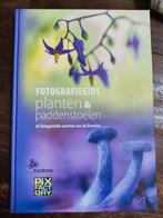 Ron Poot - Fotografiegids planten en paddenstoelen, Ophalen of Verzenden, Zo goed als nieuw, Ron Poot; Chris Ruijter; Jolanda Vlastuin