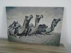 Xenos Canvas Schilderij Kamelen 40x60 ZGAN, Minder dan 50 cm, Schilderij, Ophalen of Verzenden, Zo goed als nieuw